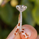 Stylishwe クラシック 2.50カラット 6本爪 婚約指輪 スターリングシルバー